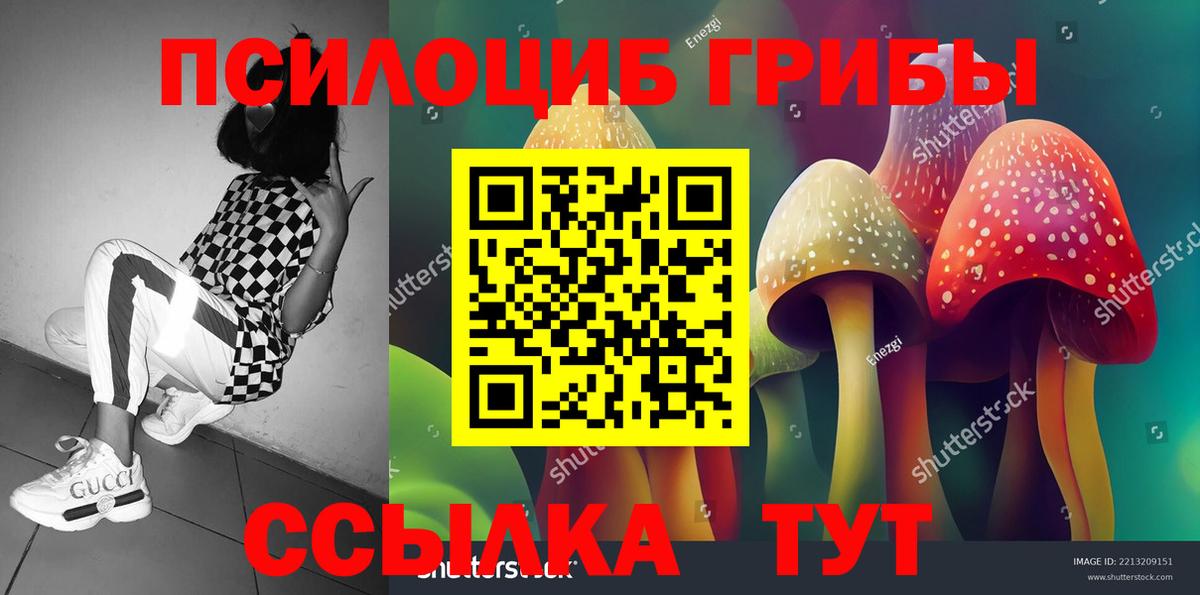 где купить наркотик  Псилоцибиновые грибы мицелий  Вход с VPN  Артём 