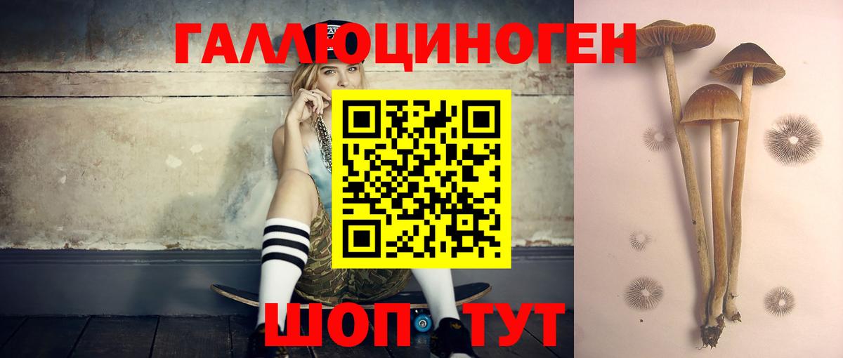 Псилоцибиновые грибы MAGIC MUSHROOMS Артём