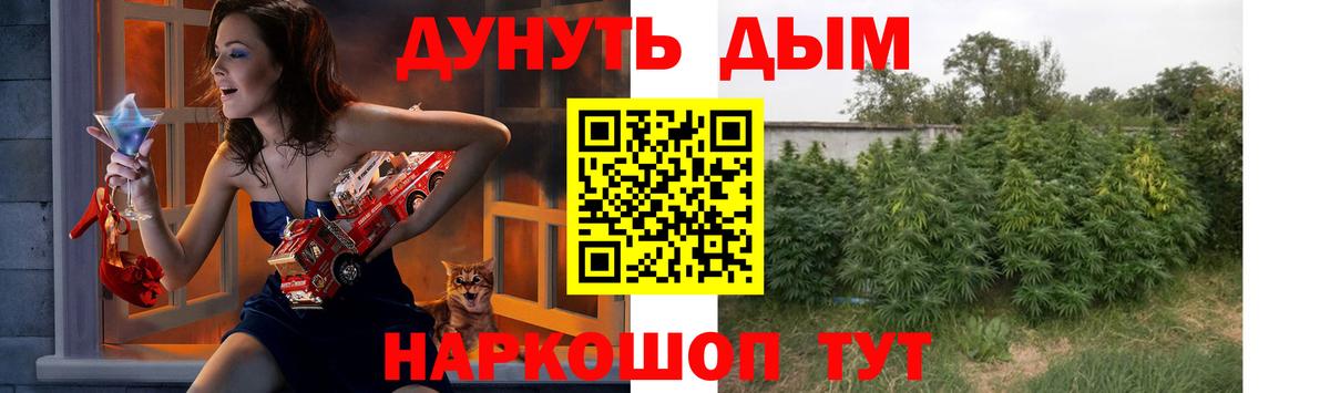 Марихуана ГИДРОПОН  Артём  Бошки Шишки SATIVA & INDICA  Бошки Шишки конопля 